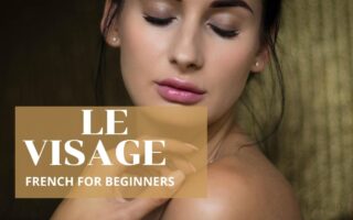 FRENCH FOR BEGINNERS LE VISAGE